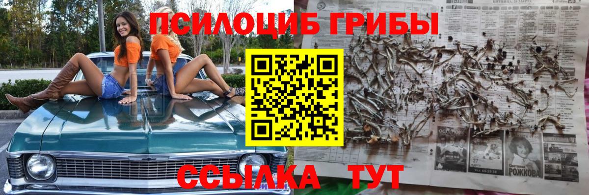 Псилоцибиновые грибы мухоморы Торжок